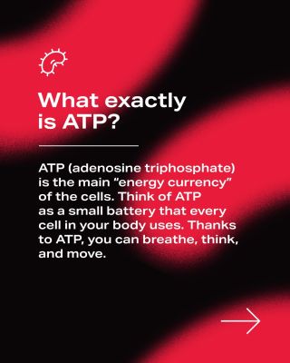 ⚡ ATP – energy for your body What is ATP, how does it work, what role does it play in our bodies, and how can ATP levels...