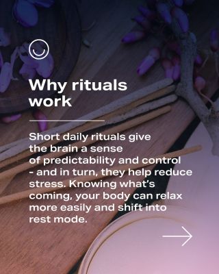 Everyone has their favorite ritual. At MITO LIGHT®, each of our team members enjoys red light therapy as a daily ritual...