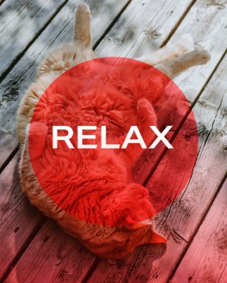 Relax with MITO LIGHT 🧘 Red light affects not only the skin but also the nervous system. Its gentle warmth helps the body...