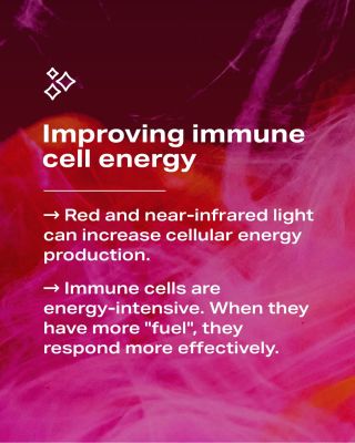 How Red Light May Support the Immune System 💪 Red light therapy is one of the methods that science is closely studying for...
